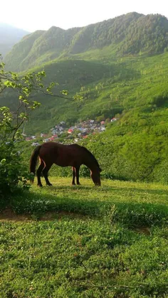 زندگی، هنر نقاشی کردن بدون پاک کن است. بکوش چنان زندگی کن