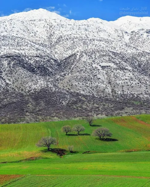 دو فصل در یک تصویر