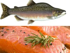 ماهی آزاد یا ماهی سالمون  یا ماهی آزاد دریای شمال در ردهٔ