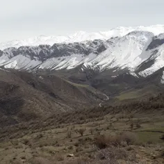 اینو دیروز رفتیم کوه خونه مادر بزدگ  گرفتم چطوره