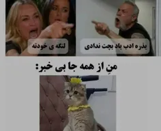 وقتی مامان و بابام سر من دعوا میکنن🤣.