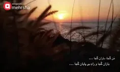 بود آیا که در میکده‌ها بگشایند