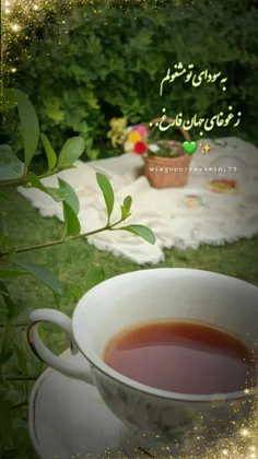 به سودای تو مشغولم