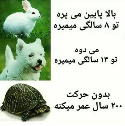 دیگ تصمیم گیری با خودتون😒🤔