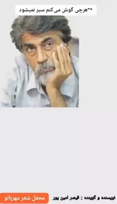 989362_9543 77372047