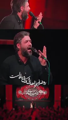 حسین ستوده | استوری نوحه روضه نمیخواهد زنی که بی پناه است