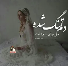 عاشقانه ها srnator-18 13936984