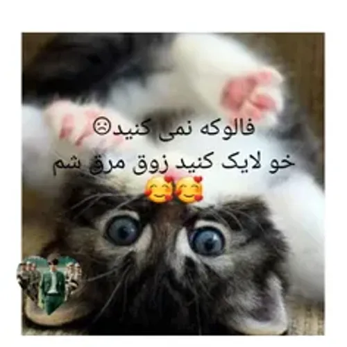 لایک بکن تلو خدا😍