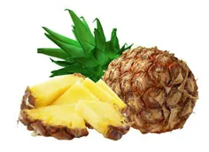 علت سوزش دهان پس از خوردن آناناس،وجود ترکیبات پروتئینی اس