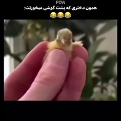 همون دختری که پشت گوشی می خورتت