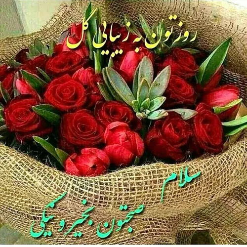  asmon_abii 39710644 - عکس ویسگون