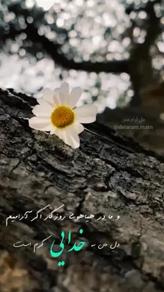 و ما اگر در هیاهوی روزگار ، آرامیم