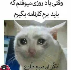 فردااااااا