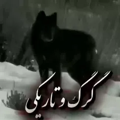 گرگ و تاریکی...🐺🌌