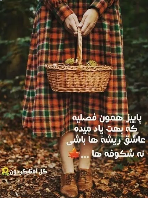 عاشق ریشه ها باشید نه شکوفه ها 🥰🤗🍁🍂