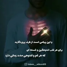 شماره پنج