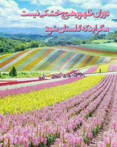 #زیبایی_های_ظهور