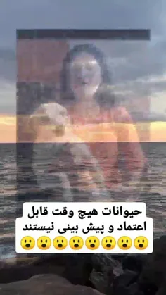 حیوانها قابل پیش بینی نیستند 😑😨