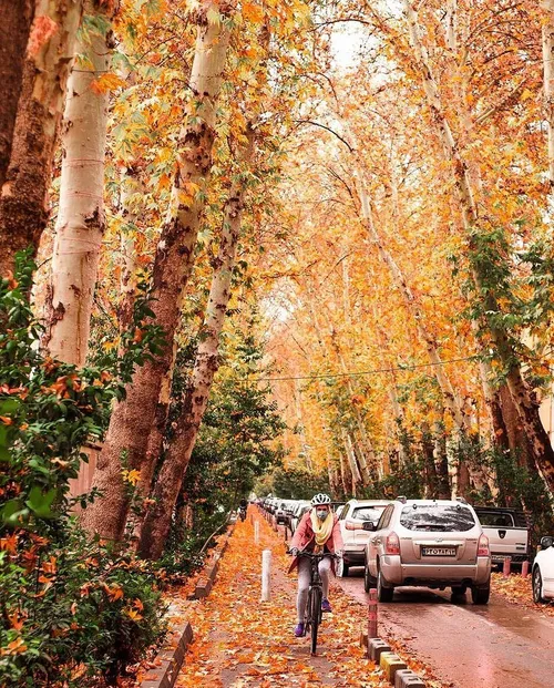 عباس آباد پاییزی🍂🍁😍