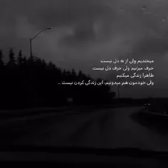 زندگی کردن نیست:)