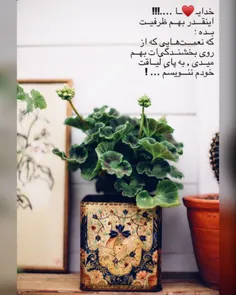 هنرمندان ایرانی abbas_sh 32352401