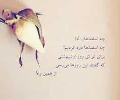 عاشقانه ها ali1122 13378191