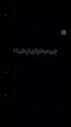 teshne133 74025566