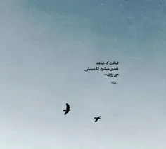 لیاقت که نباشد همین میشود...