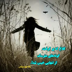 #سعید_فلاحی