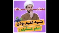 ❌شبهه : میگن امام حسن عسکری(ع) عقیم بودن و برا همینه که ل