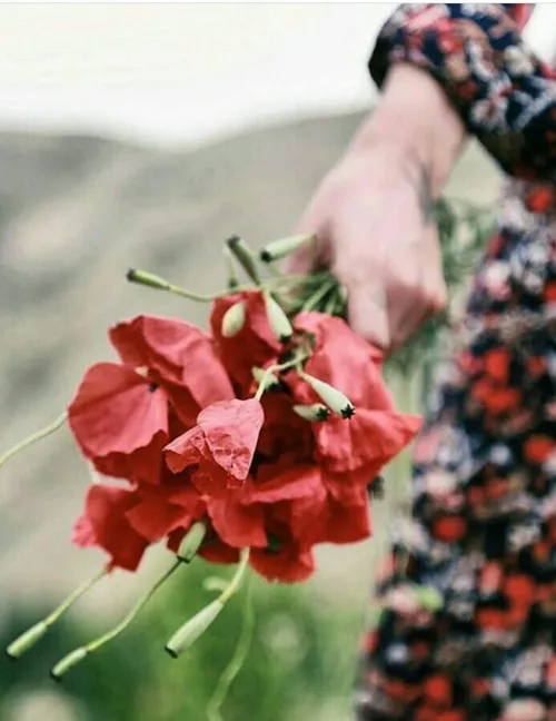 پست جدید پستای قبلم ببین خوشت اومد فالو کن لایک فالو کامن