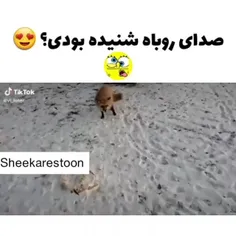 واای خدااا 😍😍