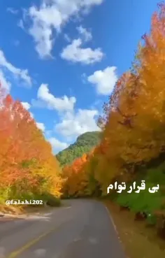 عاشقانه