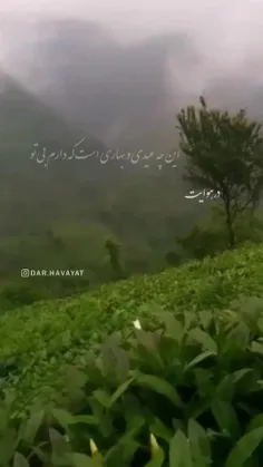 قصد جان می کند این عید و بهارم بی تو ...🍃🌹