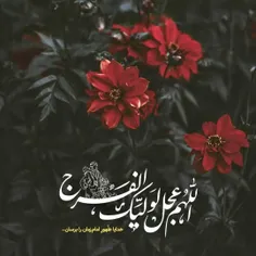 عشق از سرای این دل من پا نمی‌شود