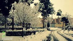 فولادشهر