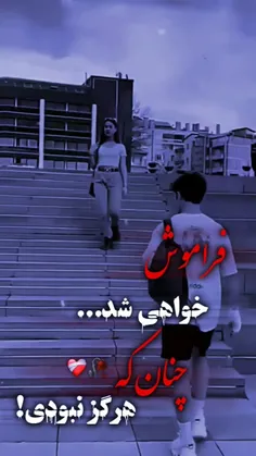 فالو کنید 