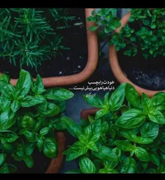 كسي كه ذهنش درگيرِ خودش، 