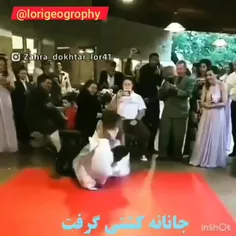 عروس باید گربه رو دم حجله بکشه😂