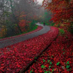 مهری که گذشت ، بی مهر بود...🥀