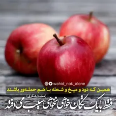 امام صادق علیه السلام فرمود:
