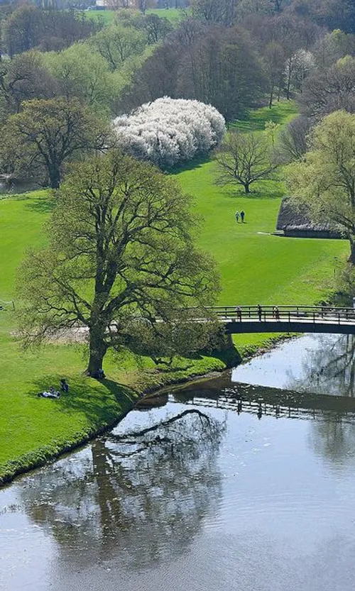 طبیعت منظره زیبا