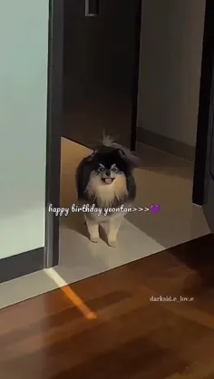 Happy birthday to our 6-year-old Yeontan💞