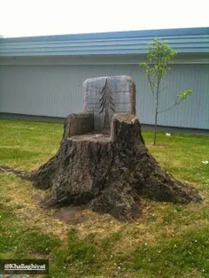 #ساخت صندلی با تنه درختان مانده در زمین