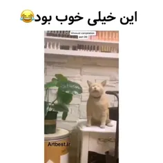 فقط دومی😂😂😂😂