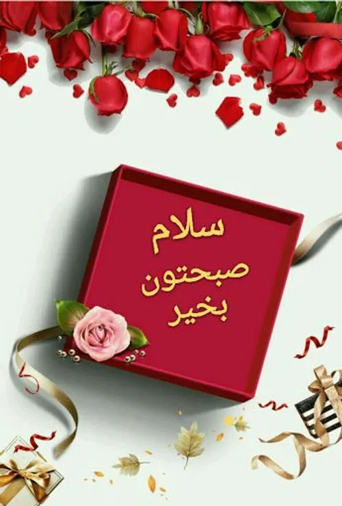 همسایهٔ دیوار به دیوار ،سلام🌹