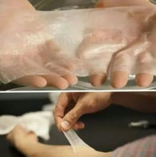 "تولید پوست مصنوعی از آدامس با فناوری نانو"