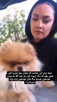 همون بهتر که جای ازدواج و بچه دار شدن ، سگ و گربه نگهداری