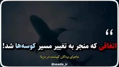 📽 #ببینید | اتفاقی که منجر به تغییر مسیر کوسه‌ها شد!