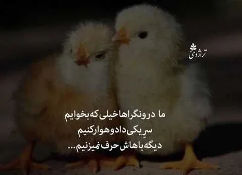 درست نمیگه!؟